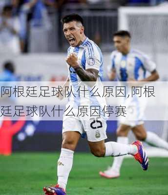 阿根廷足球队什么原因,阿根廷足球队什么原因停赛