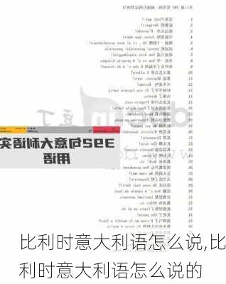 比利时意大利语怎么说,比利时意大利语怎么说的