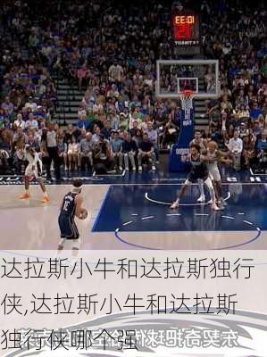 达拉斯小牛和达拉斯独行侠,达拉斯小牛和达拉斯独行侠哪个强
