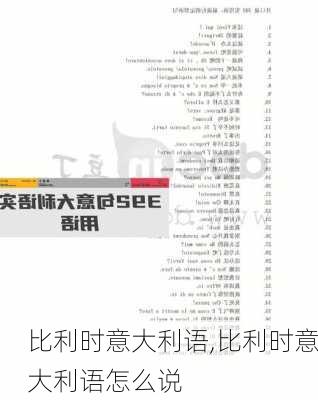 比利时意大利语,比利时意大利语怎么说