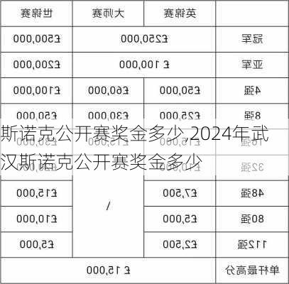 斯诺克公开赛奖金多少,2024年武汉斯诺克公开赛奖金多少