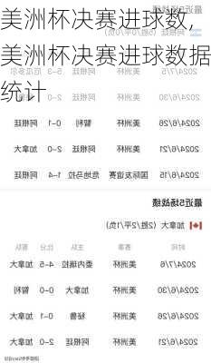 美洲杯决赛进球数,美洲杯决赛进球数据统计