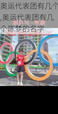 奥运代表团有几个,奥运代表团有几个陈梦的名字