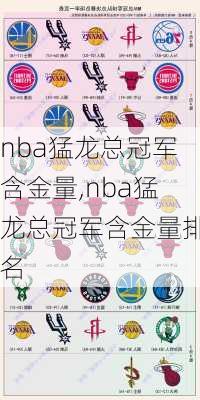 nba猛龙总冠军含金量,nba猛龙总冠军含金量排名