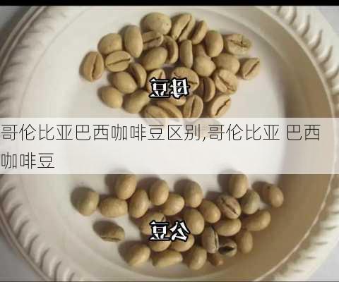 哥伦比亚巴西咖啡豆区别,哥伦比亚 巴西 咖啡豆