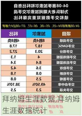 拜纳姆生涯数据,拜纳姆生涯数据统计