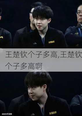 王楚钦个子多高,王楚钦个子多高啊