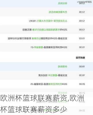 欧洲杯篮球联赛薪资,欧洲杯篮球联赛薪资多少