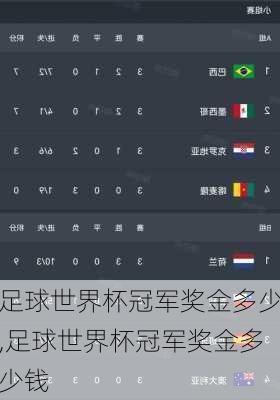 足球世界杯冠军奖金多少,足球世界杯冠军奖金多少钱