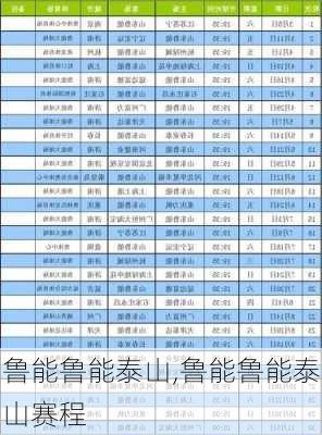 鲁能鲁能泰山,鲁能鲁能泰山赛程