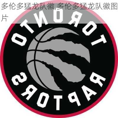 多伦多猛龙队徽,多伦多猛龙队徽图片