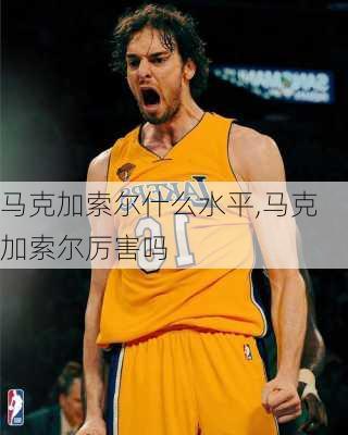马克加索尔什么水平,马克加索尔厉害吗