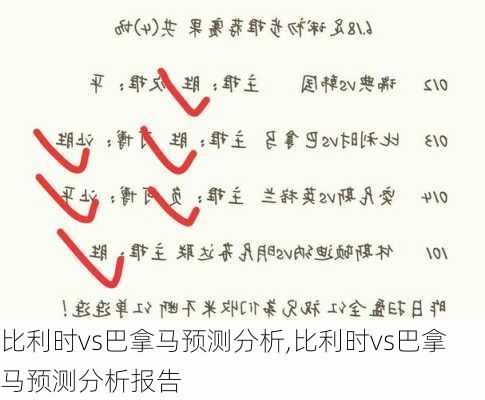 比利时vs巴拿马预测分析,比利时vs巴拿马预测分析报告