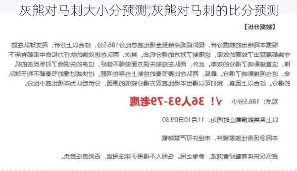 灰熊对马刺大小分预测,灰熊对马刺的比分预测
