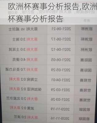 欧洲杯赛事分析报告,欧洲杯赛事分析报告