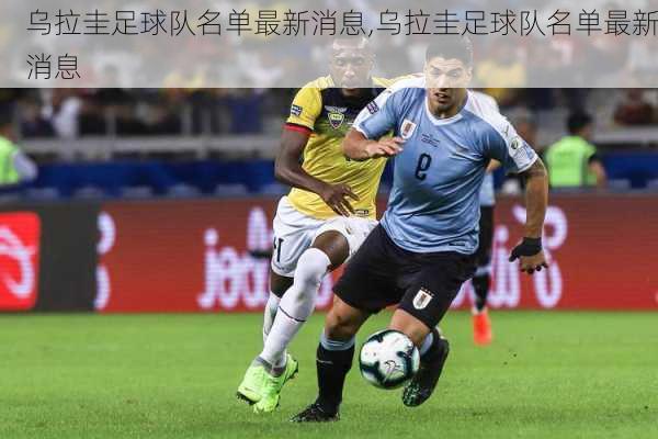 乌拉圭足球队名单最新消息,乌拉圭足球队名单最新消息