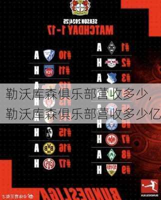 勒沃库森俱乐部营收多少,勒沃库森俱乐部营收多少亿