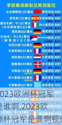 2023欧洲杯冠军是谁啊,2023欧洲杯冠军是谁啊视频