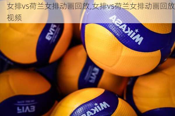 女排vs荷兰女排动画回放,女排vs荷兰女排动画回放视频