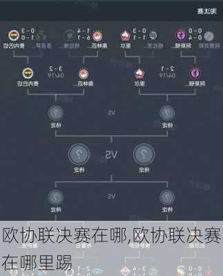 欧协联决赛在哪,欧协联决赛在哪里踢