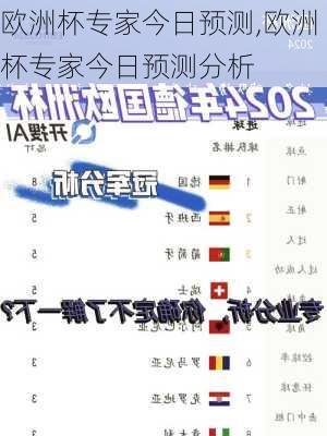 欧洲杯专家今日预测,欧洲杯专家今日预测分析