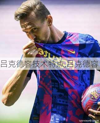 吕克德容技术特点,吕克徳容