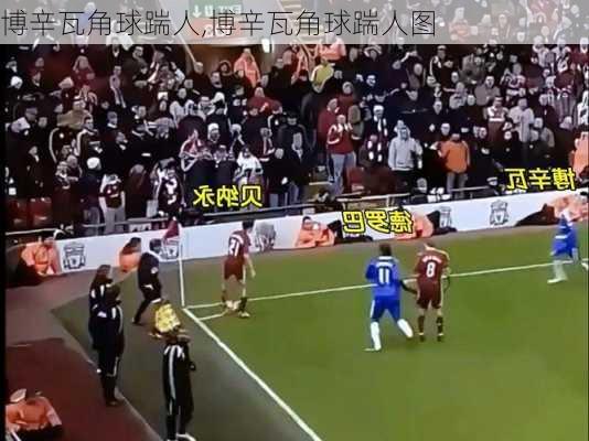 博辛瓦角球踹人,博辛瓦角球踹人图
