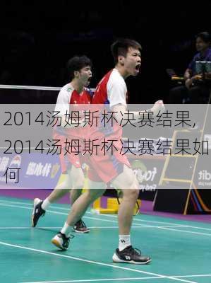 2014汤姆斯杯决赛结果,2014汤姆斯杯决赛结果如何