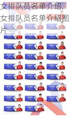 女排队员名单介绍,女排队员名单介绍图片