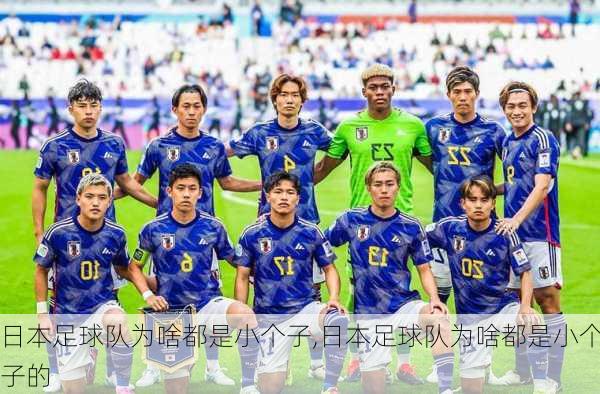 日本足球队为啥都是小个子,日本足球队为啥都是小个子的
