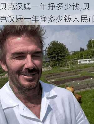 贝克汉姆一年挣多少钱,贝克汉姆一年挣多少钱人民币