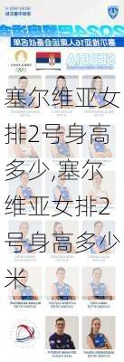 塞尔维亚女排2号身高多少,塞尔维亚女排2号身高多少米