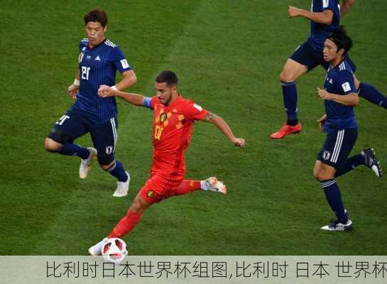 比利时日本世界杯组图,比利时 日本 世界杯