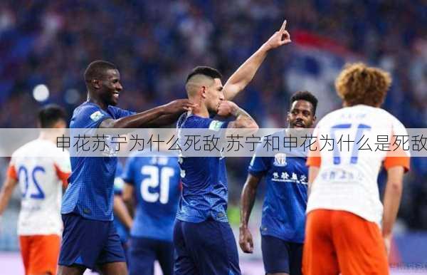 申花苏宁为什么死敌,苏宁和申花为什么是死敌