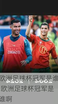 欧洲足球杯冠军是谁,欧洲足球杯冠军是谁啊