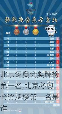 北京冬奥会奖牌榜第一名,北京冬奥会奖牌榜第一名是谁