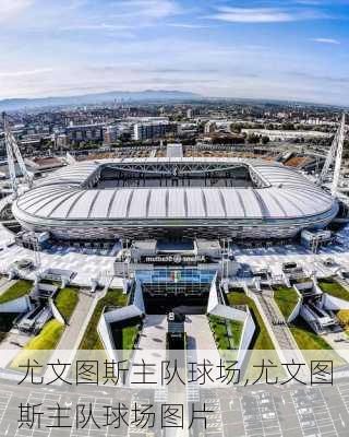 尤文图斯主队球场,尤文图斯主队球场图片
