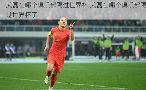 武磊在哪个俱乐部踢过世界杯,武磊在哪个俱乐部踢过世界杯了