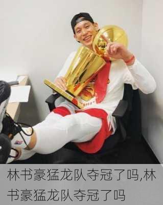 林书豪猛龙队夺冠了吗,林书豪猛龙队夺冠了吗