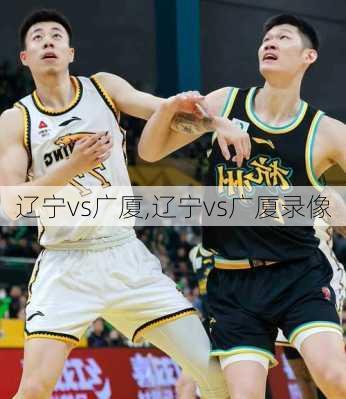 辽宁vs广厦,辽宁vs广厦录像