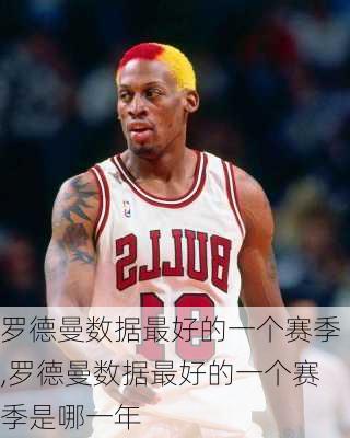 罗德曼数据最好的一个赛季,罗德曼数据最好的一个赛季是哪一年