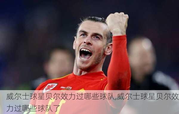 威尔士球星贝尔效力过哪些球队,威尔士球星贝尔效力过哪些球队了