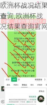欧洲杯战况结果查询,欧洲杯战况结果查询官网