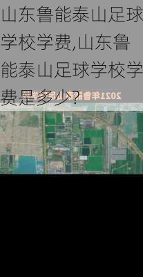 山东鲁能泰山足球学校学费,山东鲁能泰山足球学校学费是多少?