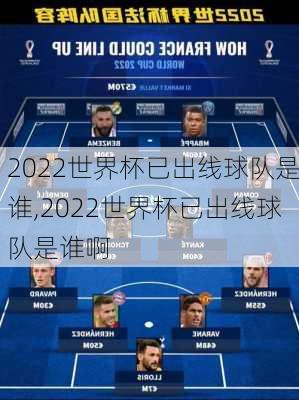 2022世界杯已出线球队是谁,2022世界杯已出线球队是谁啊