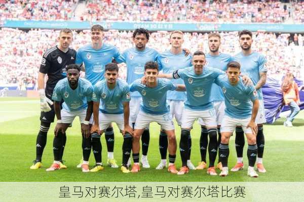 皇马对赛尔塔,皇马对赛尔塔比赛