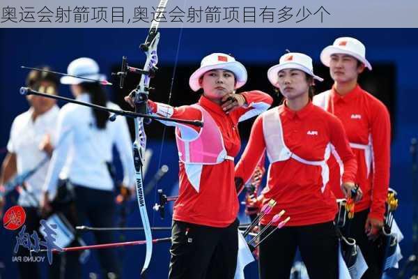 奥运会射箭项目,奥运会射箭项目有多少个