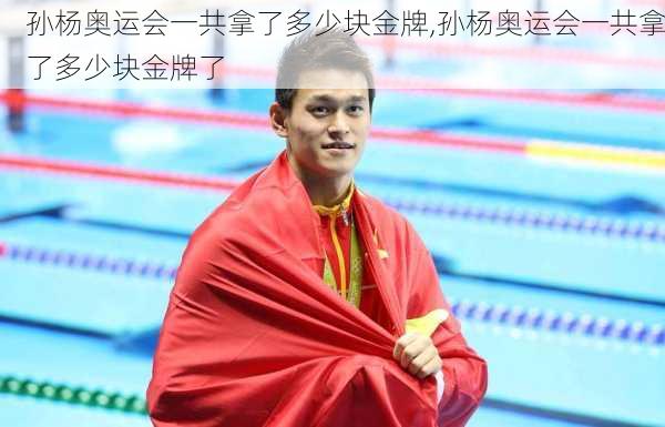 孙杨奥运会一共拿了多少块金牌,孙杨奥运会一共拿了多少块金牌了