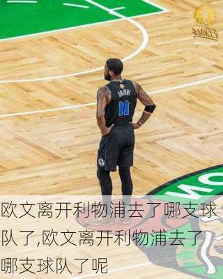 欧文离开利物浦去了哪支球队了,欧文离开利物浦去了哪支球队了呢