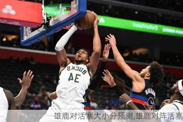 雄鹿对活塞大小分预测,雄鹿对阵活塞